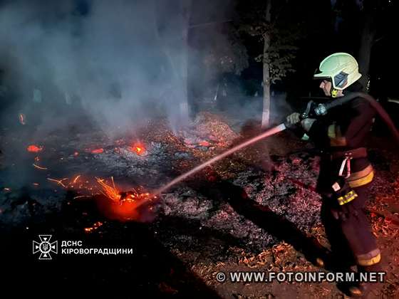 На Кіровоградщині виникло майже два десятка пожеж (ФОТО)